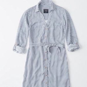 NWT A&F Striped Shirt Dress